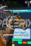2026_Pacepix_GP18082026_Race7_MissBejewelled_WIN_WEB-3