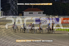 2026_Pacepix_GP18082026_Race7_MissBejewelled_WIN_WEB-5