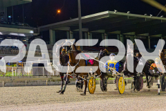 2025_PACEPIX_GP19092025_Race7_MisterSmartee_WIN_WEB-1