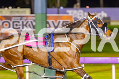2025_PACEPIX_GP19092025_Race7_MisterSmartee_WIN_WEB-10