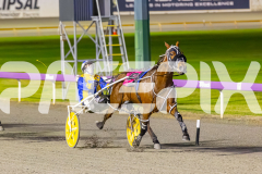 2025_PACEPIX_GP19092025_Race7_MisterSmartee_WIN_WEB-12