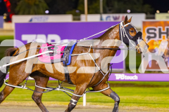 2025_PACEPIX_GP19092025_Race7_MisterSmartee_WIN_WEB-18