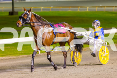 2025_PACEPIX_GP19092025_Race7_MisterSmartee_WIN_WEB-19