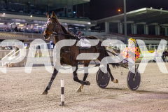 2025_PACEPIX_GP19092025_Race7_MisterSmartee_WIN_WEB-5