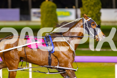 2025_PACEPIX_GP19092025_Race7_MisterSmartee_WIN_WEB-7