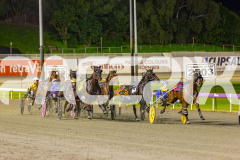 2025_PACEPIX_GP19092025_Race7_MisterSmartee_WIN_WEB-8