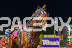 RACE 7 - Monterio