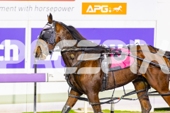 2026_PACEPIX_GP19052026_RACE7_Monterio_WIN_WEB-13