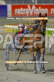 2026_PACEPIX_GP28082026_Race7_MyHammerDown_WIN_WEB-12