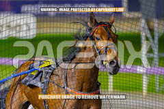 2026_PACEPIX_GP28082026_Race7_MyHammerDown_WIN_WEB-14
