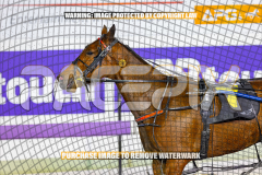 2026_PACEPIX_GP28082026_Race7_MyHammerDown_WIN_WEB-18
