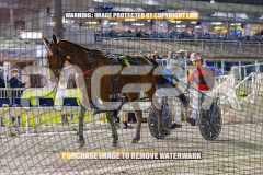 2026_PACEPIX_GP28082026_Race7_MyHammerDown_WIN_WEB-23