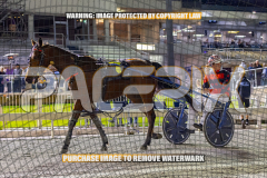 2026_PACEPIX_GP28082026_Race7_MyHammerDown_WIN_WEB-24