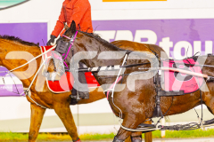 2025_PACEPIX_GP30052025_RACE7_MySilverSpoon_WIN_WEB-22