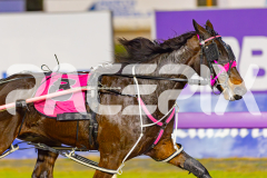 2025_PACEPIX_GP30052025_RACE7_MySilverSpoon_WIN_WEB-7