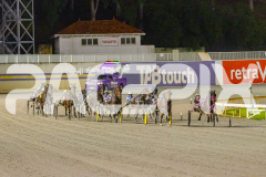 2025_PACEPIX_GP30052025_RACE7_MySilverSpoon_WIN_WEB-9