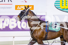 2025_PACEPIX_GP05122025_RACE7_NathanStreet_WIN_WEB-10