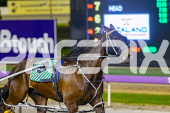 2025_PACEPIX_GP05122025_RACE7_NathanStreet_WIN_WEB-8