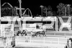 2025_PACEPIX_GP14102025_Race7_NutbushGirl_WIN_WEB-1