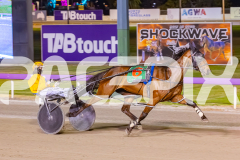 2025_PACEPIX_GP14102025_Race7_NutbushGirl_WIN_WEB-11