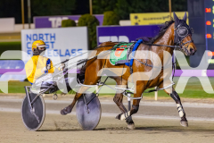 2025_PACEPIX_GP14102025_Race7_NutbushGirl_WIN_WEB-13