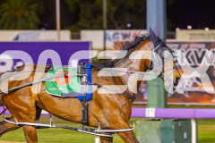 2025_PACEPIX_GP14102025_Race7_NutbushGirl_WIN_WEB-14