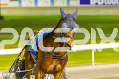 2025_PACEPIX_GP14102025_Race7_NutbushGirl_WIN_WEB-16