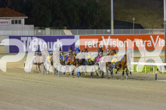 2025_PACEPIX_GP14102025_Race7_NutbushGirl_WIN_WEB-2