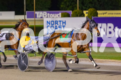 2025_PACEPIX_GP14102025_Race7_NutbushGirl_WIN_WEB-4