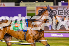 2025_PACEPIX_GP14102025_Race7_NutbushGirl_WIN_WEB-5