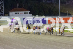 2025_PACEPIX_GP14102025_Race7_NutbushGirl_WIN_WEB-6