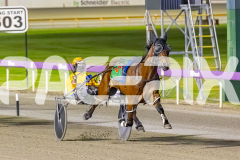 2025_PACEPIX_GP14102025_Race7_NutbushGirl_WIN_WEB-7