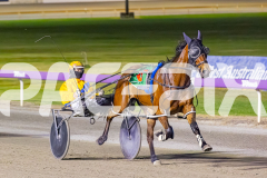 2025_PACEPIX_GP14102025_Race7_NutbushGirl_WIN_WEB-8