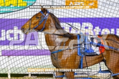 2026_PACEPIX_GP22092026_RACE7_OurMateGeoff_WIN_WEB-13