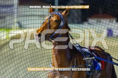 2026_PACEPIX_GP22092026_RACE7_OurMateGeoff_WIN_WEB-14