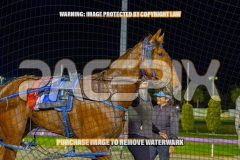 2026_PACEPIX_GP22092026_RACE7_OurMateGeoff_WIN_WEB-20