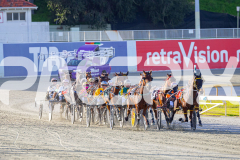 2025_PACEPIX_GP28072025_RACE7_Paroquet_WIN_WEB-1