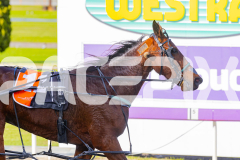 2025_PACEPIX_GP28072025_RACE7_Paroquet_WIN_WEB-11