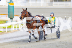 2025_PACEPIX_GP28072025_RACE7_Paroquet_WIN_WEB-12