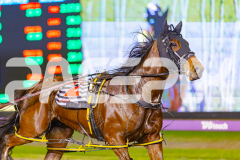 2025_PACEPIX_GP27052025_RACE7_PinjarraRocks_WIN_WEB-15