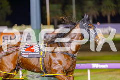 2025_PACEPIX_GP27052025_RACE7_PinjarraRocks_WIN_WEB-16
