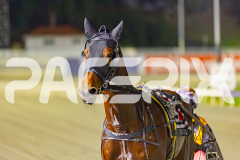 2025_PACEPIX_GP27052025_RACE7_PinjarraRocks_WIN_WEB-20