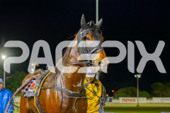 2025_PACEPIX_GP27052025_RACE7_PinjarraRocks_WIN_WEB-24