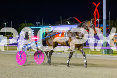 2025_PACEPIX_GP29112025_Race7_PocketTheChange_WIN_WEB-16