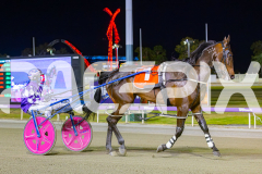 2025_PACEPIX_GP29112025_Race7_PocketTheChange_WIN_WEB-17