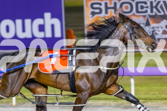 2025_PACEPIX_GP29112025_Race7_PocketTheChange_WIN_WEB-4