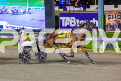 2026_PACEPIX_GP17072026_RACE7_Poppyonthebeach_WIN_WEB-11