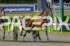 2026_PACEPIX_GP17072026_RACE7_Poppyonthebeach_WIN_WEB-14