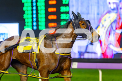 2026_PACEPIX_GP17072026_RACE7_Poppyonthebeach_WIN_WEB-16