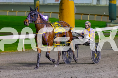 2026_PACEPIX_GP17072026_RACE7_Poppyonthebeach_WIN_WEB-17